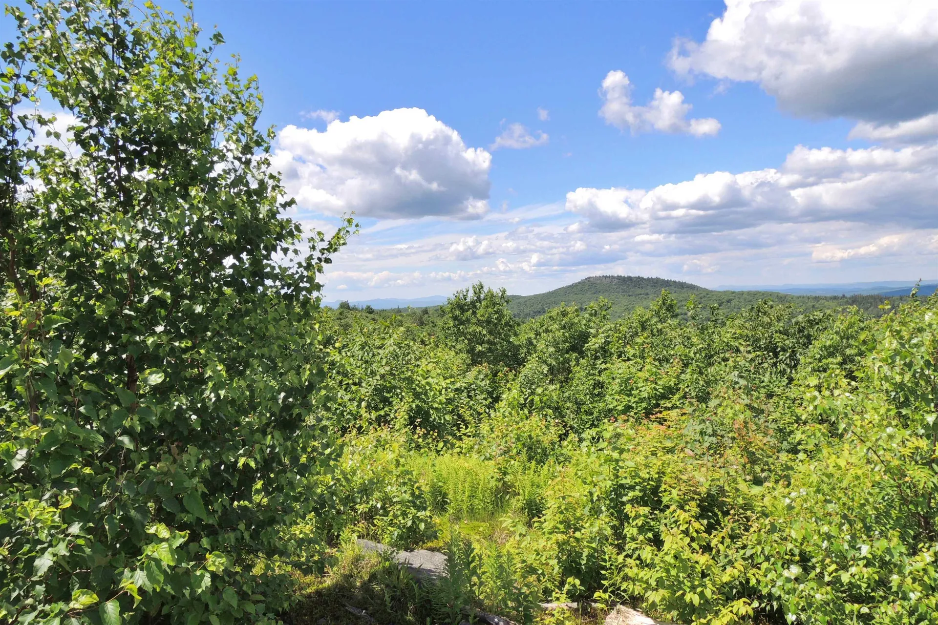 3383 I.p. Road Morgan VT 05853