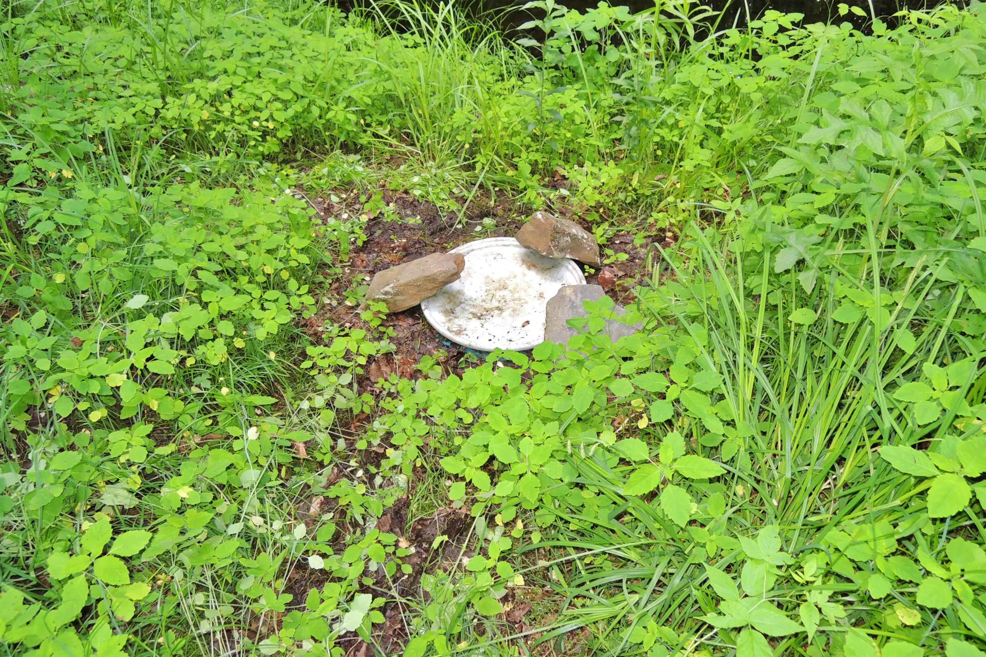 3383 I.p. Road Morgan VT 05853