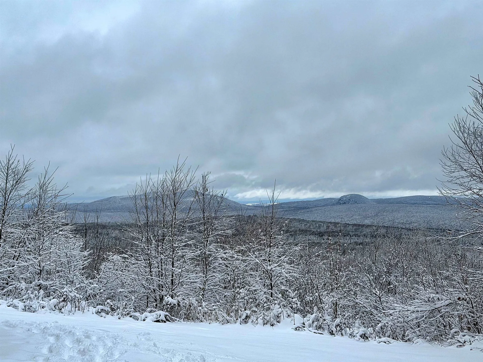 3383 I.p. Road Morgan VT 05853