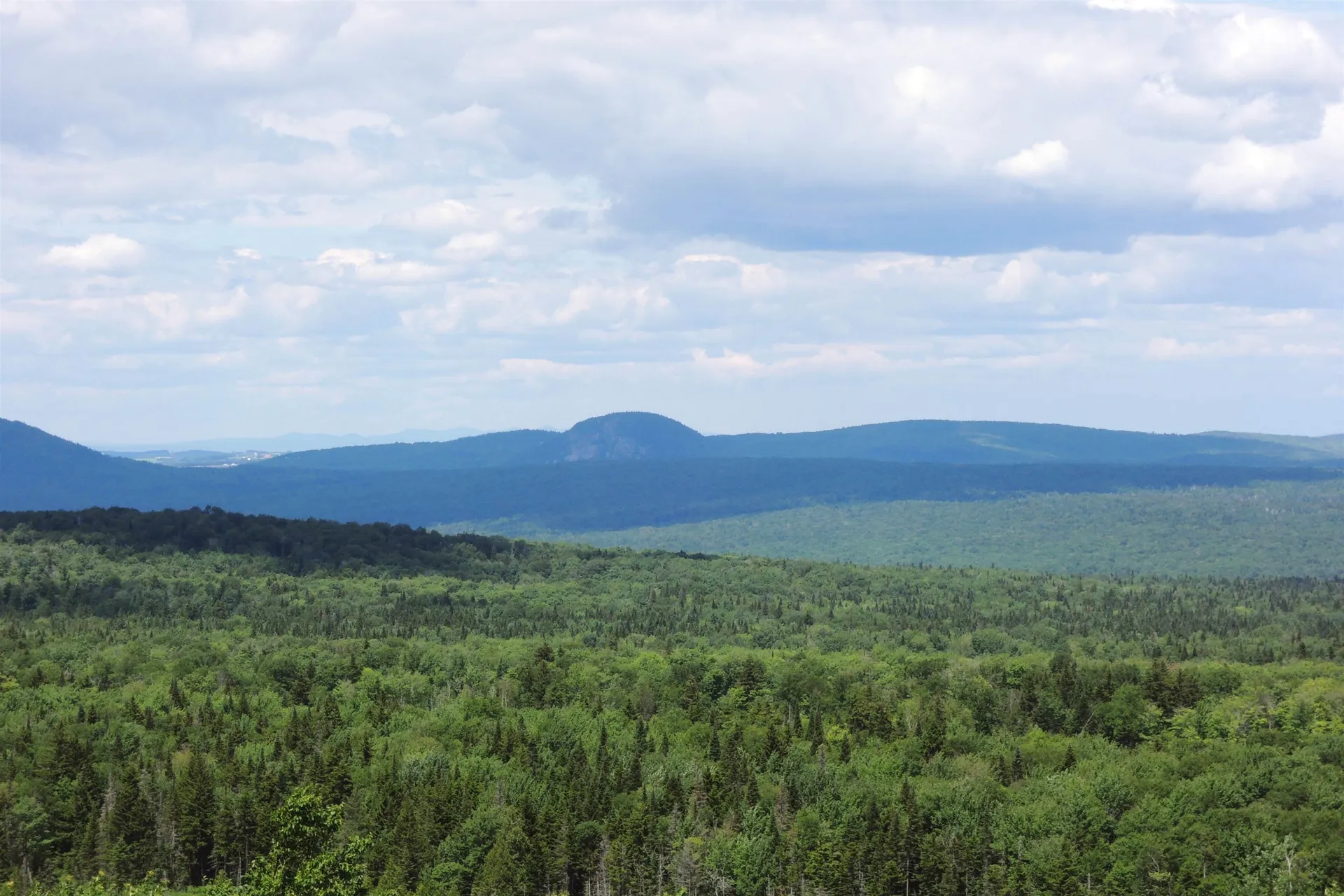 3383 I.p. Road Morgan VT 05853