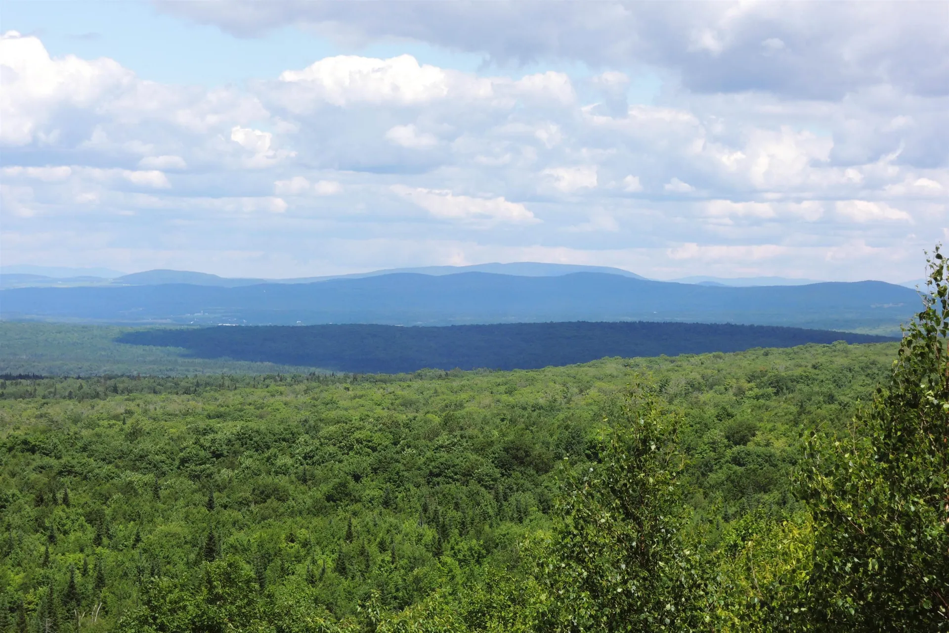 3383 I.p. Road Morgan VT 05853