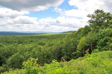 3383 I.p. Road Morgan VT 05853