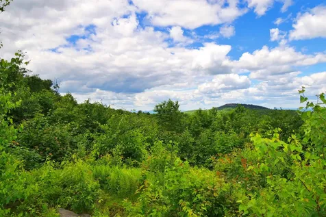 3383 I.p. Road Morgan VT 05853