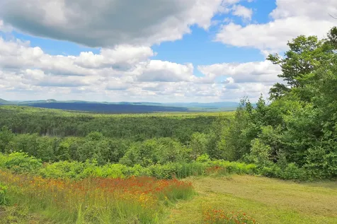 3383 I.p. Road Morgan VT 05853