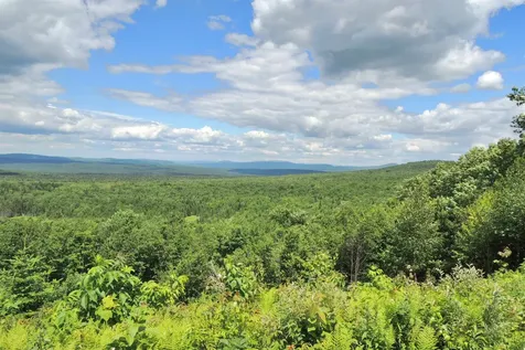 3383 I.p. Road Morgan VT 05853