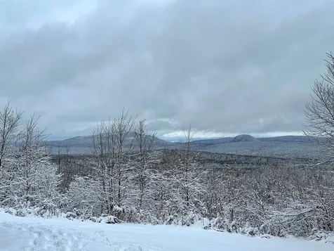 3383 I.p. Road Morgan VT 05853