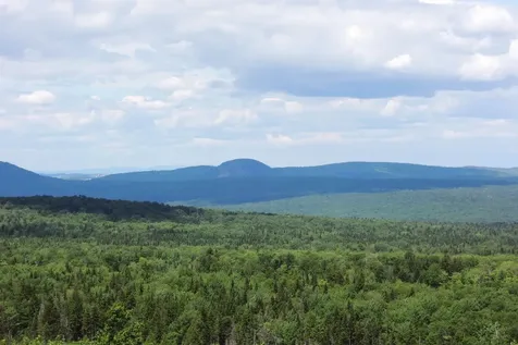 3383 I.p. Road Morgan VT 05853