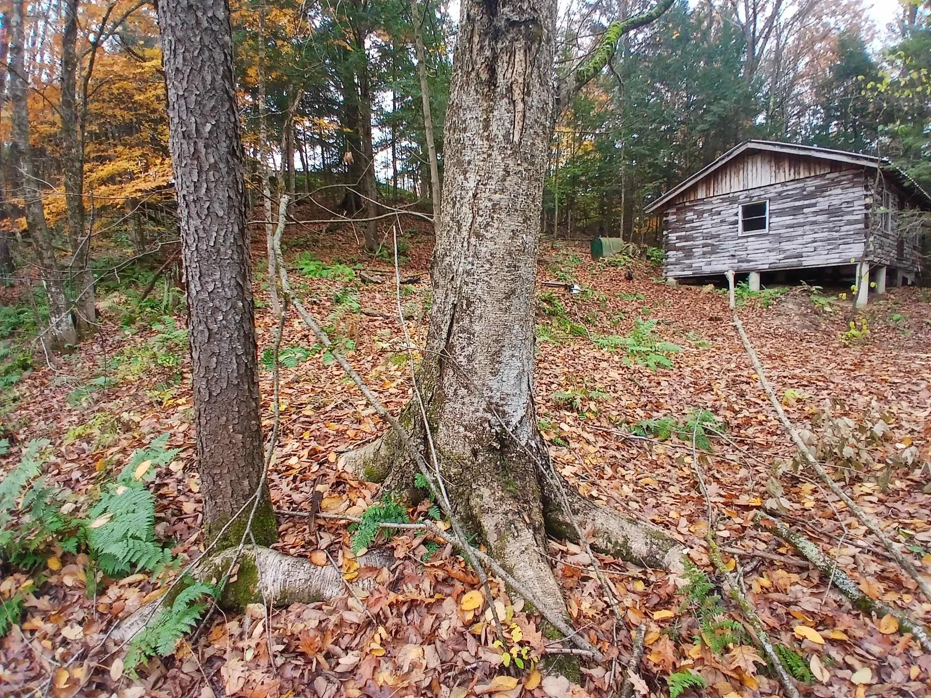 5 East Wilder Road Lebanon NH 03784