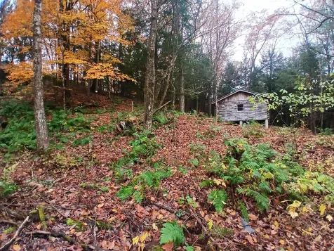 5 East Wilder Road Lebanon NH 03784