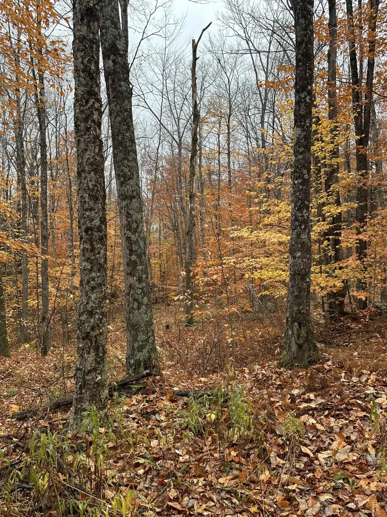 0 Upper Notch Road Bristol VT 05443