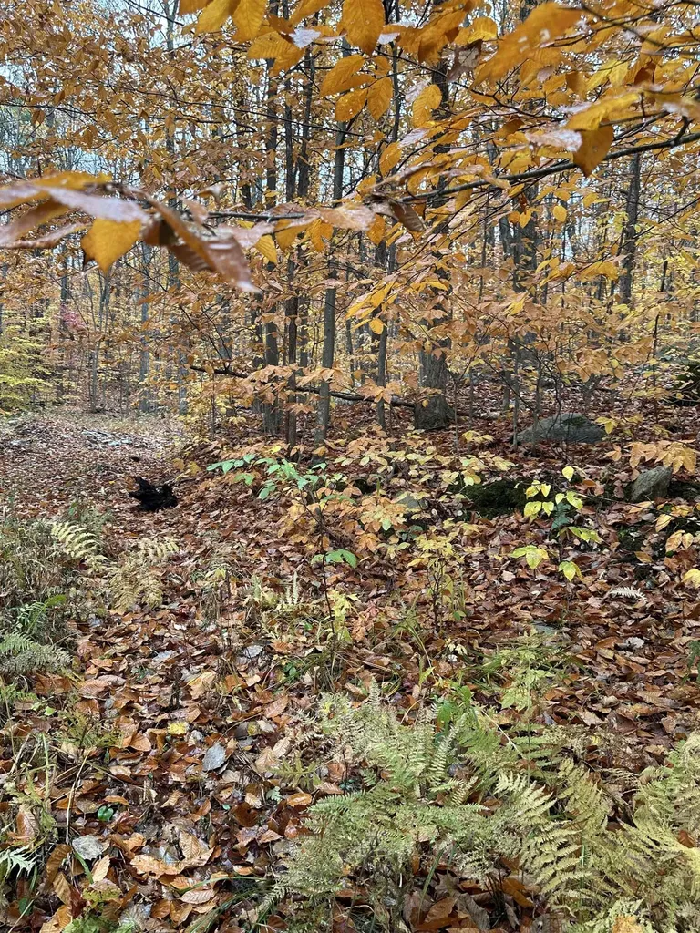 0 Upper Notch Road Bristol VT 05443