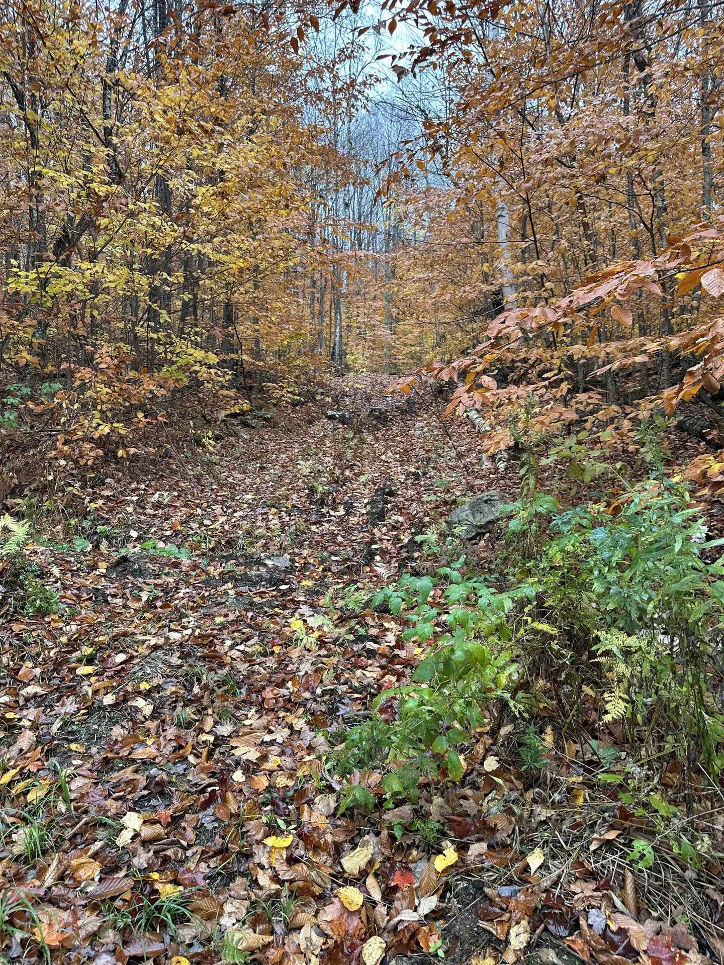 0 Upper Notch Road Bristol VT 05443