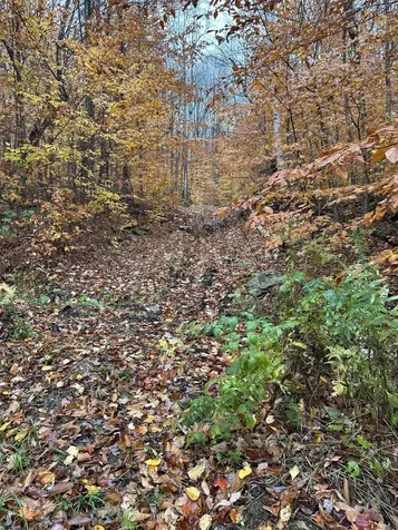 0 Upper Notch Road Bristol VT 05443