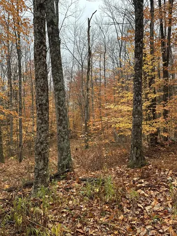 0 Upper Notch Road Bristol VT 05443