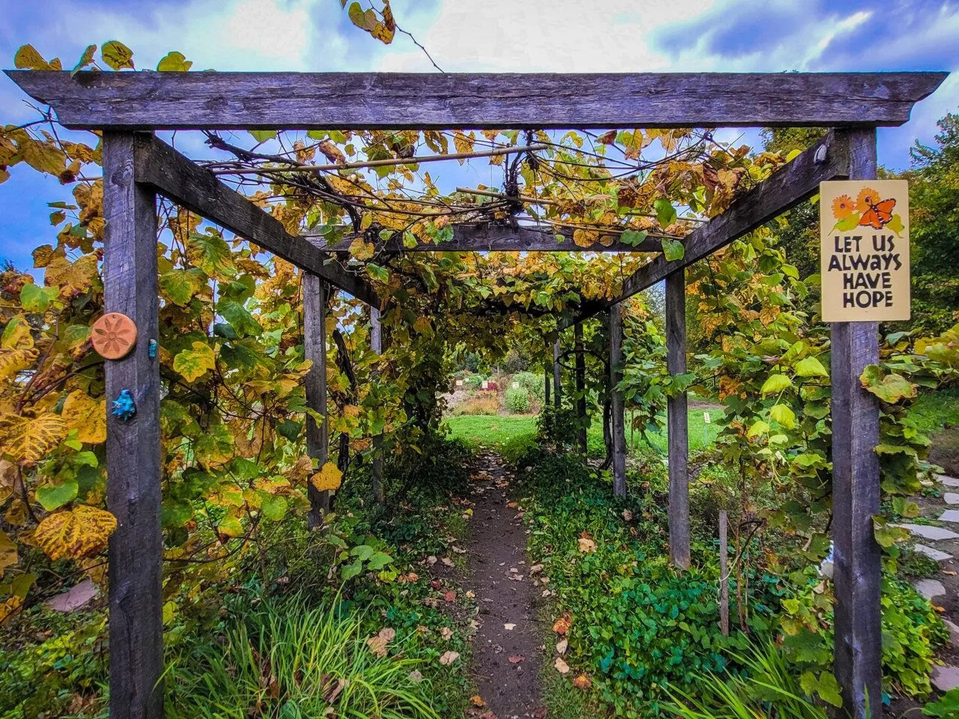 354 Manhattan Drive Burlington VT 05401