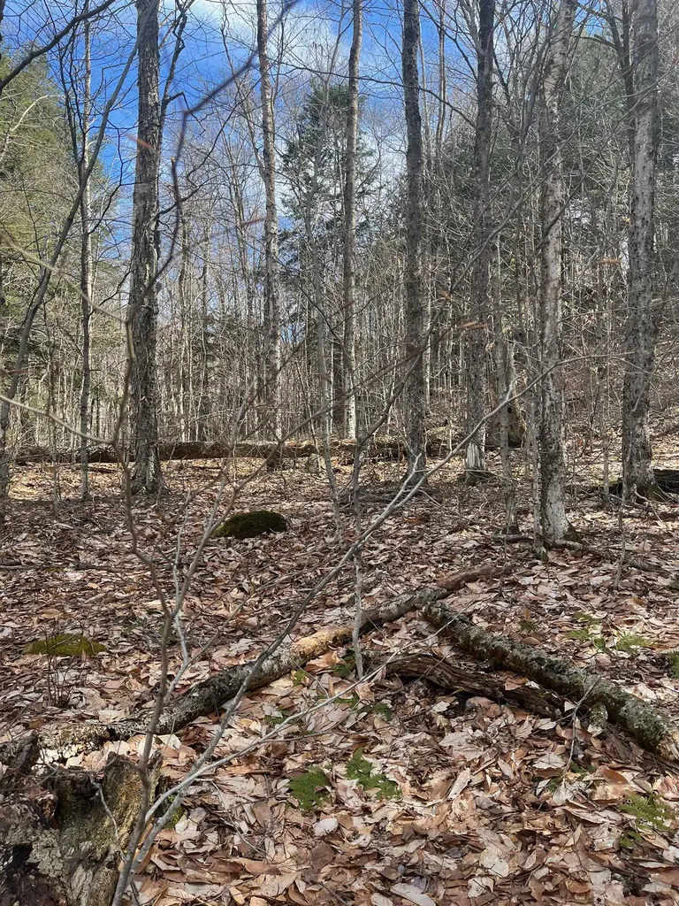 2-47 East Ash Road Plymouth VT 05056