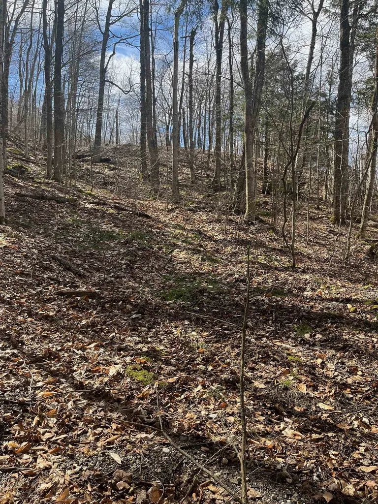 2-47 East Ash Road Plymouth VT 05056