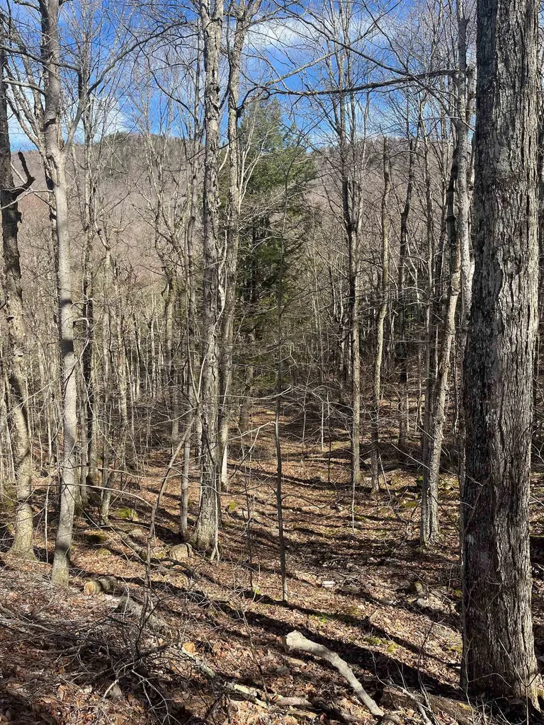 2-47 East Ash Road Plymouth VT 05056