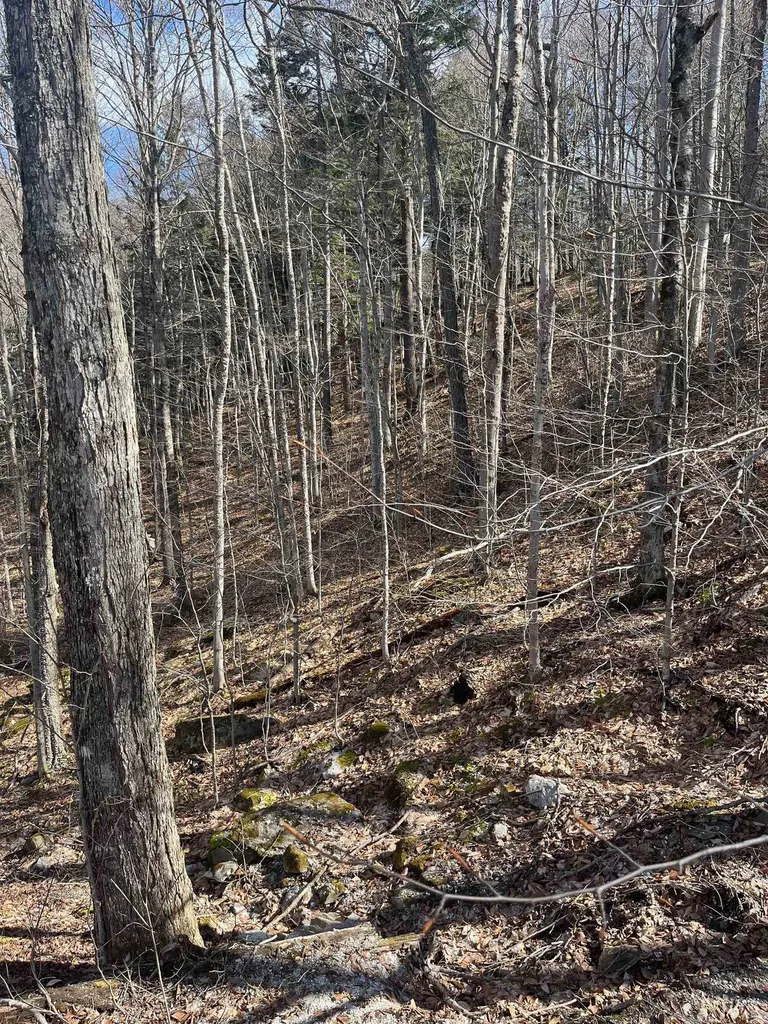 2-47 East Ash Road Plymouth VT 05056