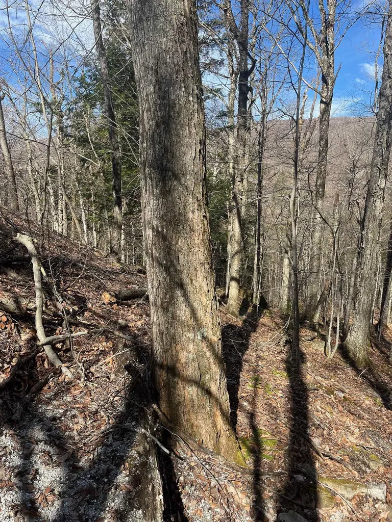 2-47 East Ash Road Plymouth VT 05056