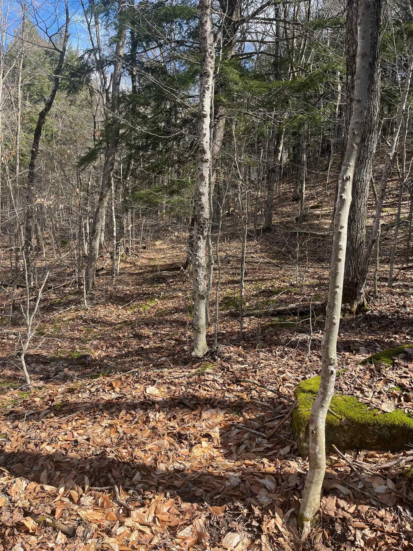 2-47 East Ash Road Plymouth VT 05056