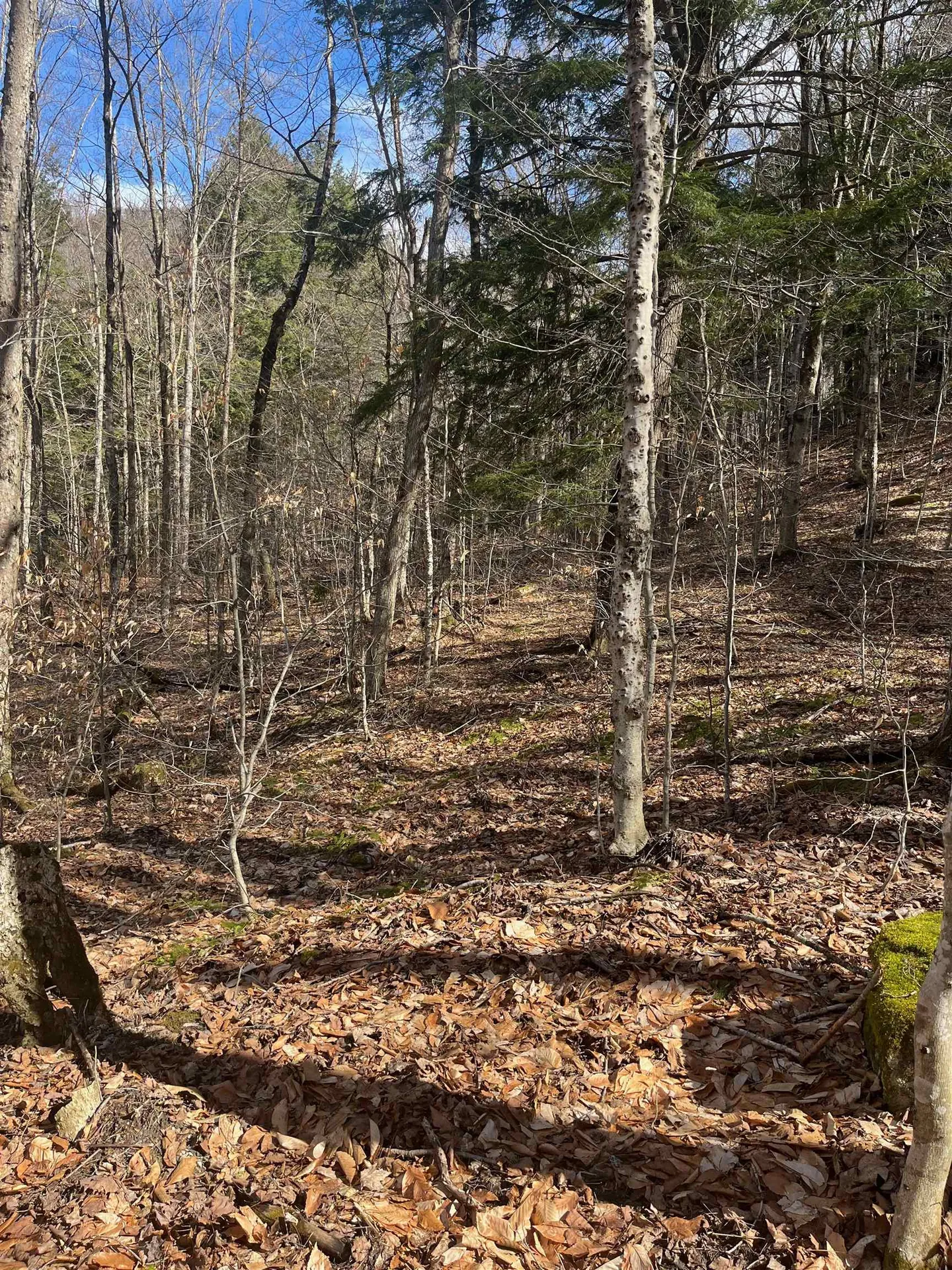 2-47 East Ash Road Plymouth VT 05056