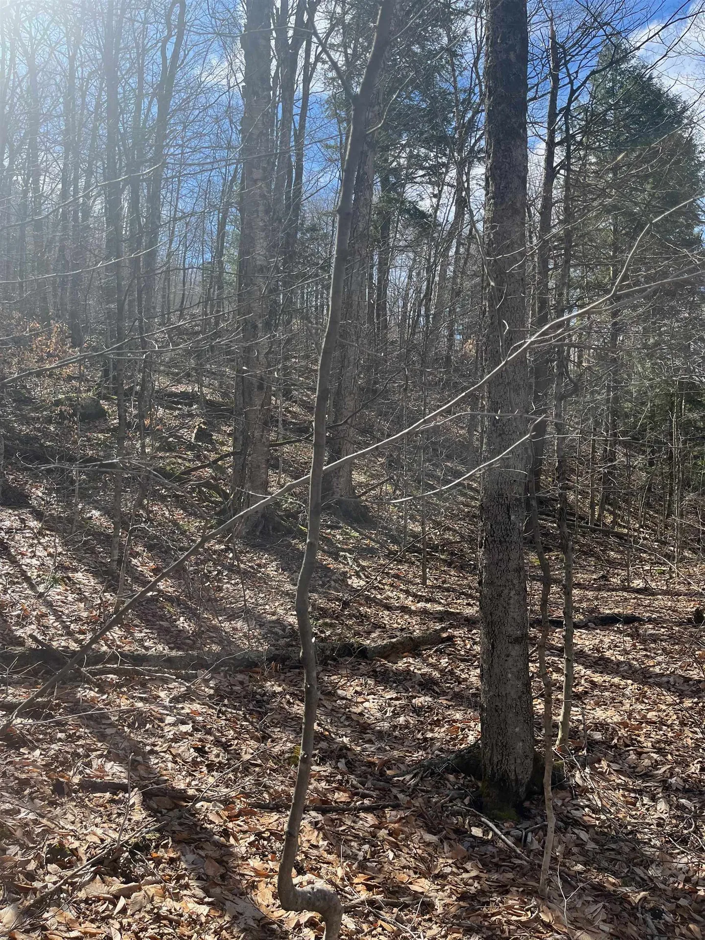 2-47 East Ash Road Plymouth VT 05056