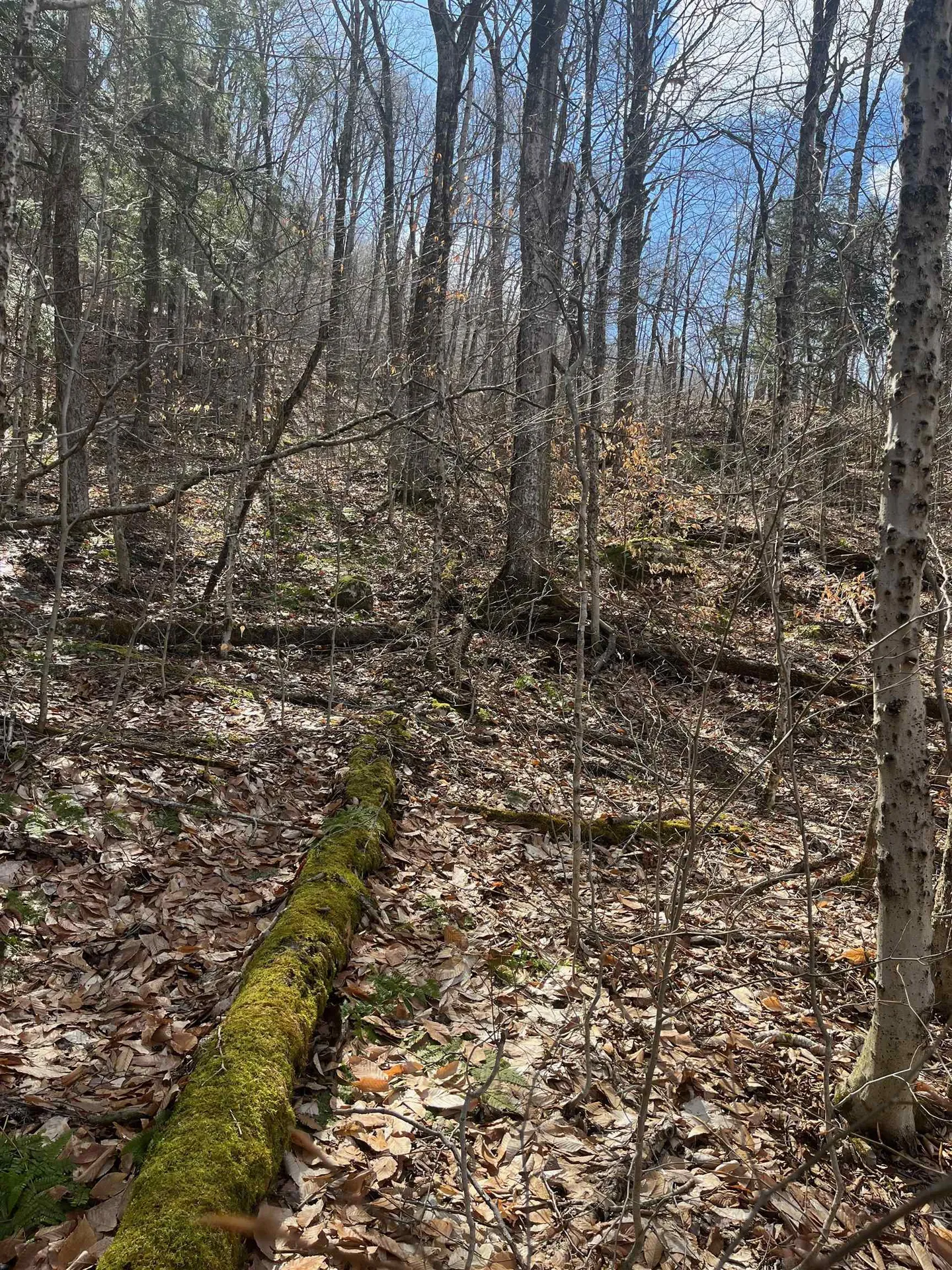 2-47 East Ash Road Plymouth VT 05056