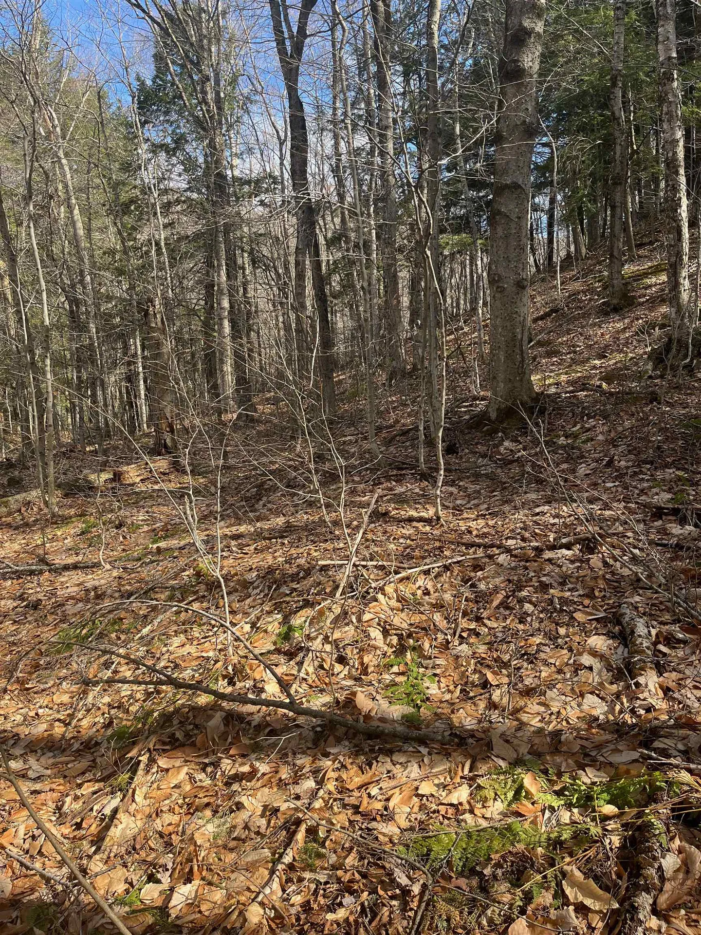 2-47 East Ash Road Plymouth VT 05056