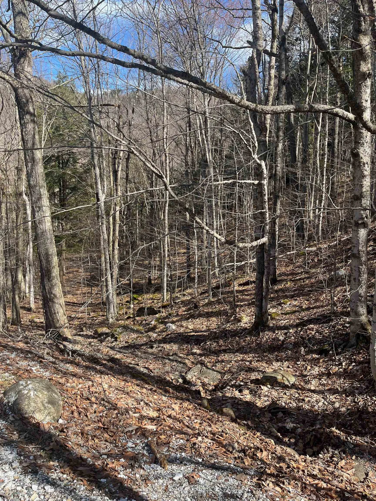 2-47 East Ash Road Plymouth VT 05056