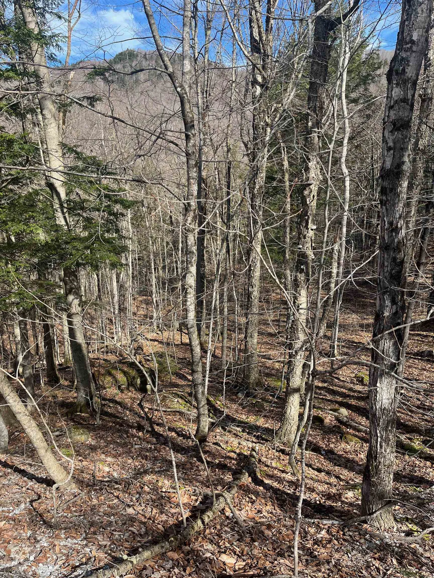 2-47 East Ash Road Plymouth VT 05056