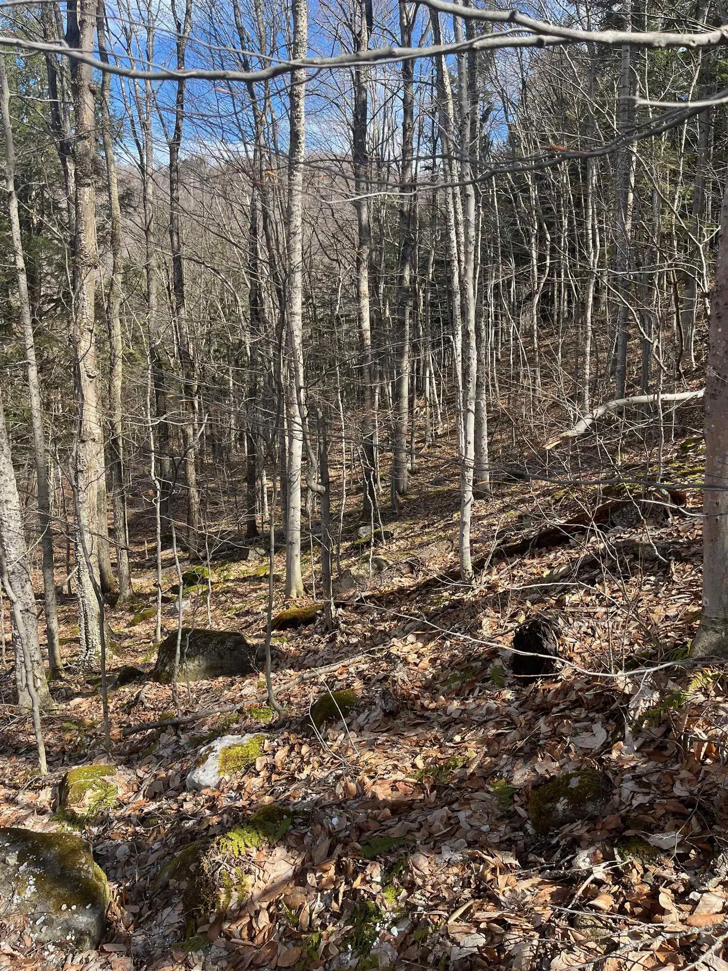 2-47 East Ash Road Plymouth VT 05056