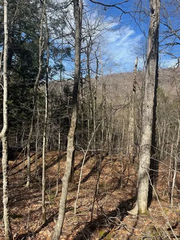 2-47 East Ash Road Plymouth VT 05056