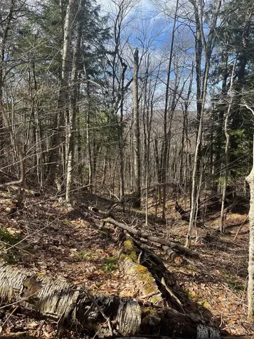 2-47 East Ash Road Plymouth VT 05056