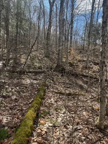 2-47 East Ash Road Plymouth VT 05056