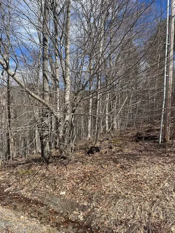 2-47 East Ash Road Plymouth VT 05056