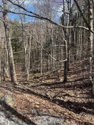 2-47 East Ash Road Plymouth VT 05056