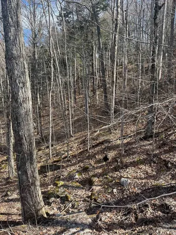 2-47 East Ash Road Plymouth VT 05056