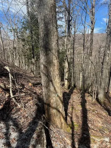 2-47 East Ash Road Plymouth VT 05056