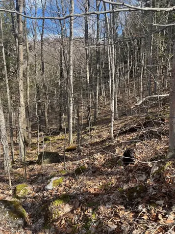 2-47 East Ash Road Plymouth VT 05056