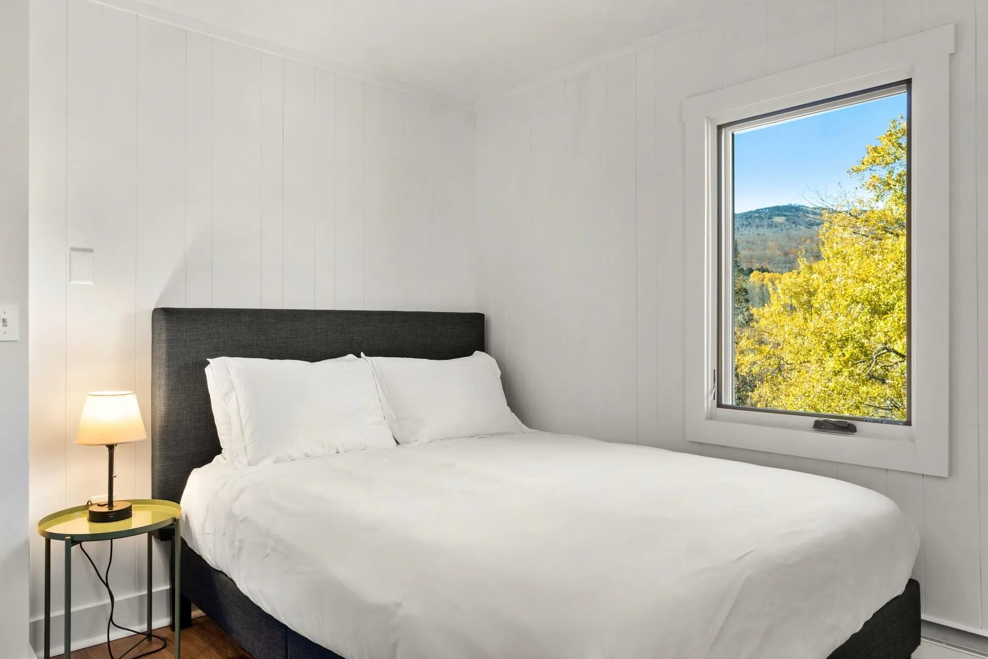 5 Tannery Road Dover VT 05356