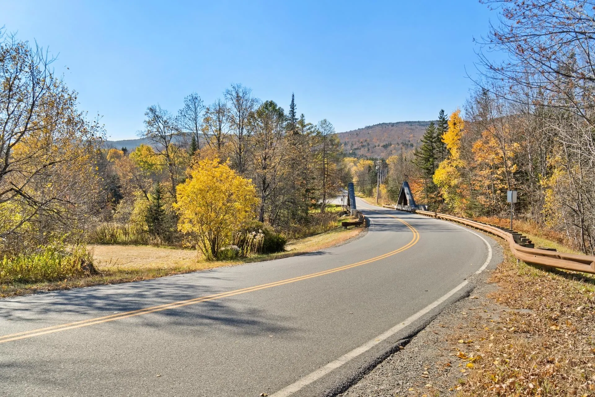 5 Tannery Road Dover VT 05356