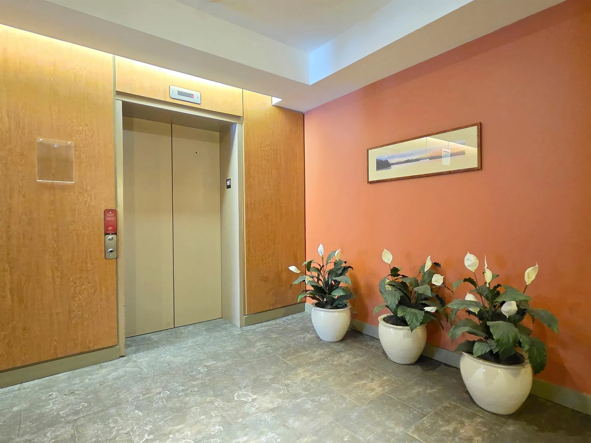 410 Farrell Street South Burlington VT 05403