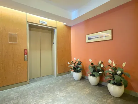 410 Farrell Street South Burlington VT 05403