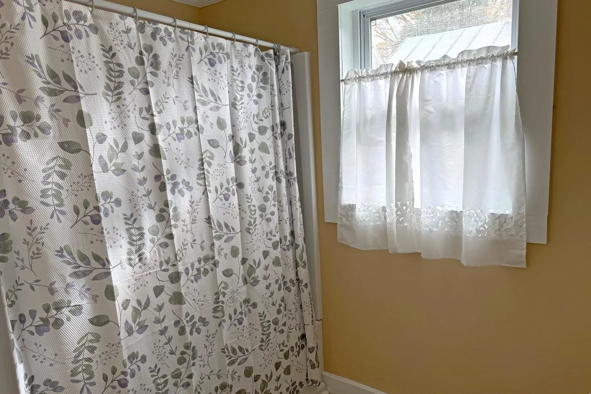 50 Chestnut Avenue Rutland City VT 05701