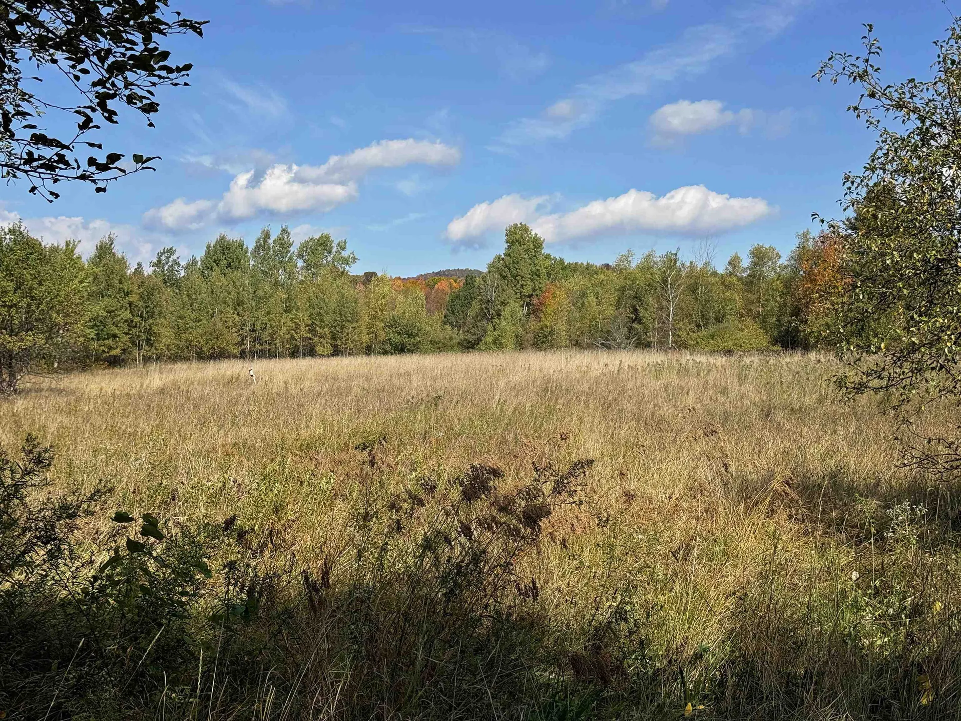 2866 Center Road Hyde Park VT 05655