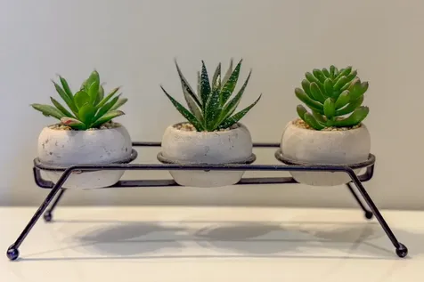 527 Northwest Road Canterbury NH 03224