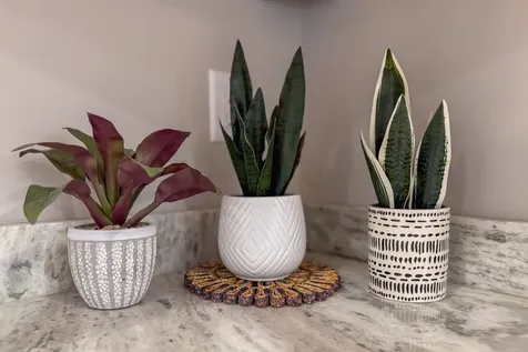 527 Northwest Road Canterbury NH 03224