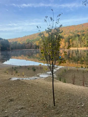 69 Church Street Wallingford VT 05773