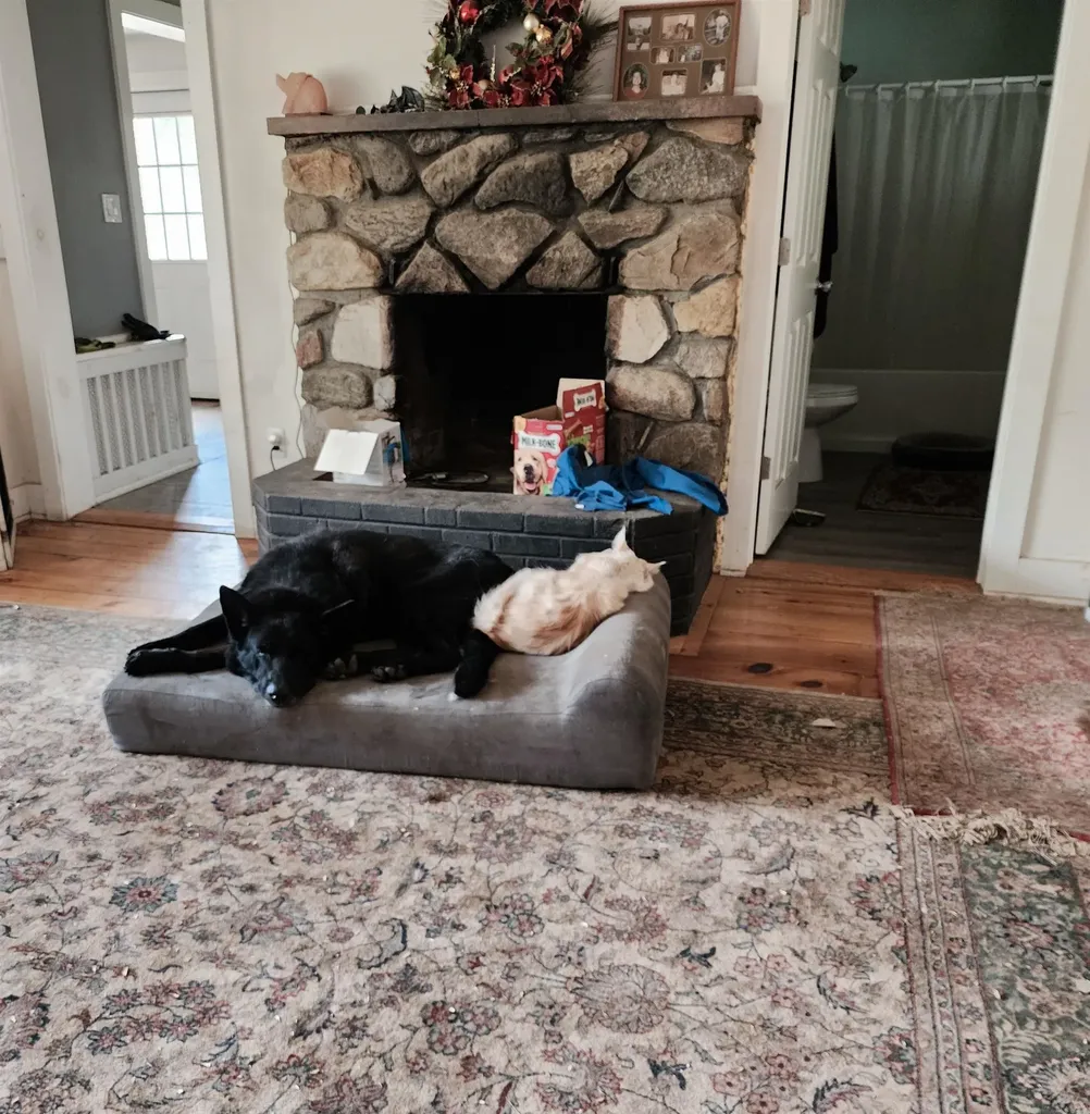 126 Simeon Dean Road Shaftsbury VT 05262